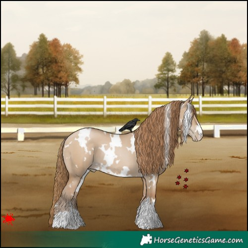 Horse Color:White Spotted Grullo Pearl