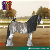 Horse Color:White Spotted Grullo 