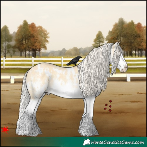 Horse Color:White Spotted Palomino Dun Splash 