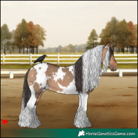 Horse Color:White Spotted Bay Dun Tobiano 