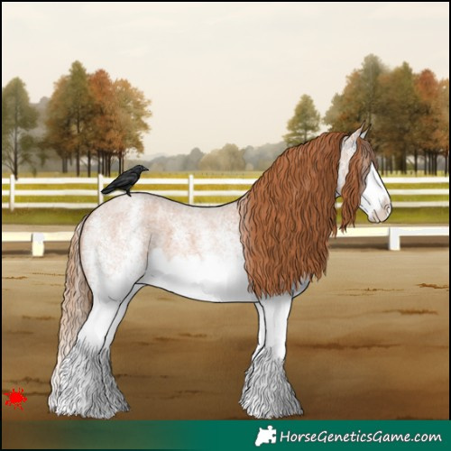 Horse Color:White Spotted Red Roan Splash 