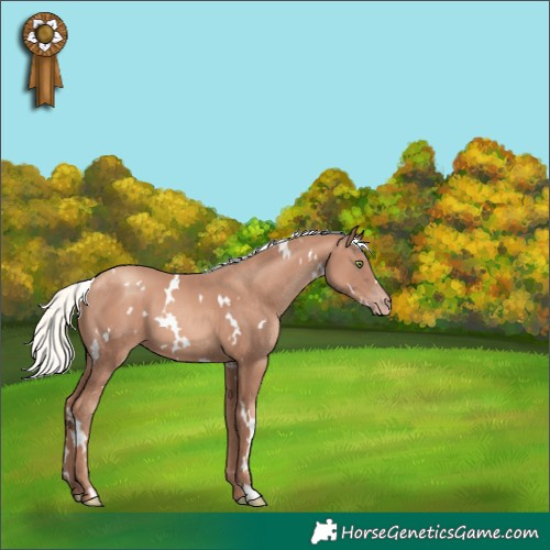 Horse Color:White Spotted Gold Champagne Mushroom 