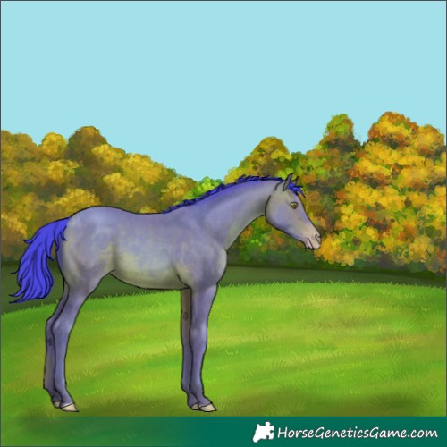 Horse Color:Watercolor Sable Champagne 
