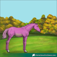 Horse Color:Watercolor Chestnut 