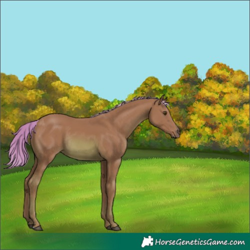 Horse Color:Watercolor Chestnut Mushroom Rabicano 