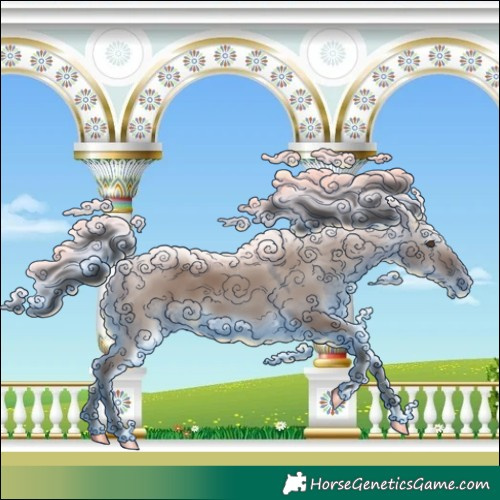 Horse Color:Liver Red Dun 