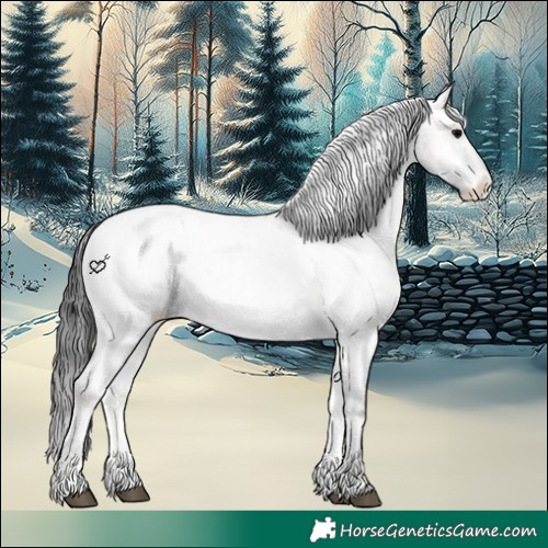 Horse Color:Brown Roan Onyx Appaloosa Rabicano 