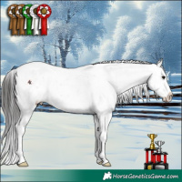Horse Color:White Spotted Brown Snowflake Varnish
