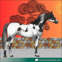 Horse Color:Brown Rabicano  and White Spotted Bay Sabino Rabicano 