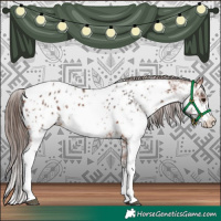 Horse Color:Bay Sabino Near Leopard Rabicano 