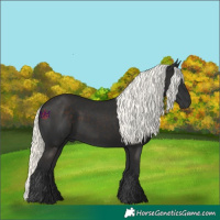 Horse Color:Liver Chestnut Mushroom 