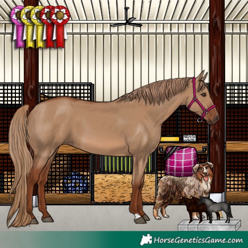 Horse Color:Red Dun 