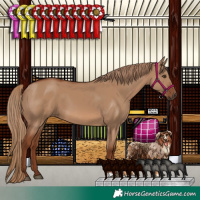 Horse Color:Red Dun