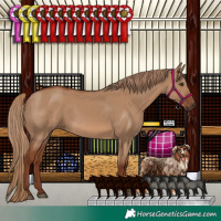 Horse Color:Red Dun