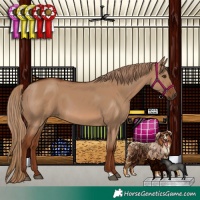 Horse Color:Red Dun
