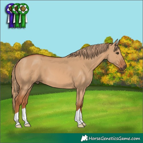 Horse Color:Red Dun 