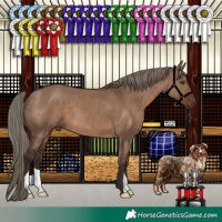 Horse Color:Liver Red Dun 
