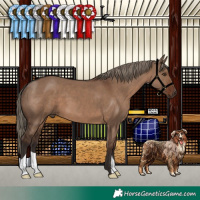 Horse Color:Liver Red Dun 