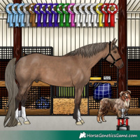 Horse Color:Liver Red Dun 