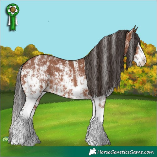 Horse Color:Bay Sabino Rabicano  and Bay Sabino Splash Rabicano 