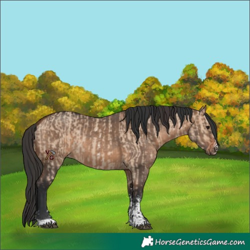 Horse Color:Bay Dun Sabino Rabicano  and Brown Dun Sabino Rabicano 