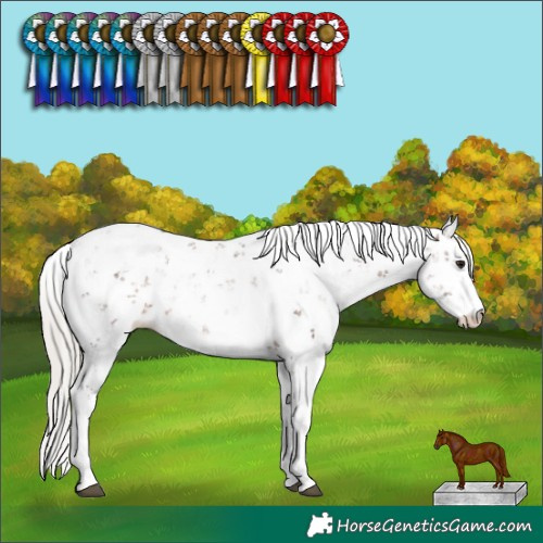 Horse Color:Silver Brown Sabino