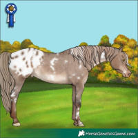 Horse Color:White Spotted Liver Red Dun Blanket Brindle 