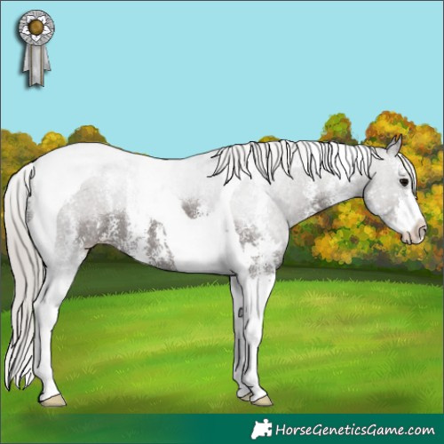Horse Color:Silver Black Sabino Tobiano 