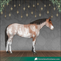 Horse Color:Bay Roan Rabicano  and Bay Roan Sabino Rabicano 