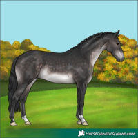 Horse Color:Platinum Brown 