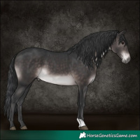 Horse Color:Platinum Brown 