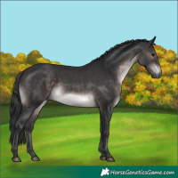 Horse Color:Platinum Brown 