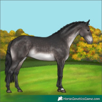 Horse Color:Platinum Brown