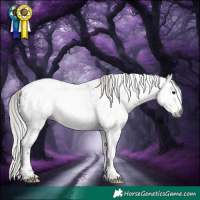 Horse Color:Gray White Spotted Silver Brown Roan Splash Appaloosa Rabicano