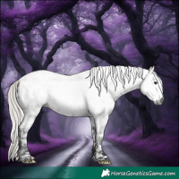 Horse Color:Gray White Spotted Silver Brown Roan Near Leopard Rabicano