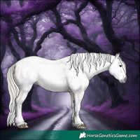 Horse Color:Gray White Spotted Silver Brown Roan Splash Near Leopard Rabicano