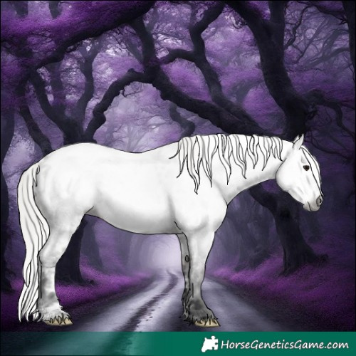 Horse Color:Gray White Spotted Silver Brown Roan Near Leopard Rabicano