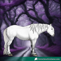 Horse Color:Gray White Spotted Silver Brown Roan Near Leopard Rabicano
