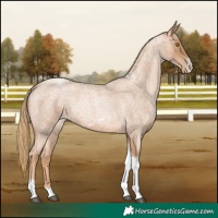 Horse Color:Red Roan Pearl Tobiano Frame 
