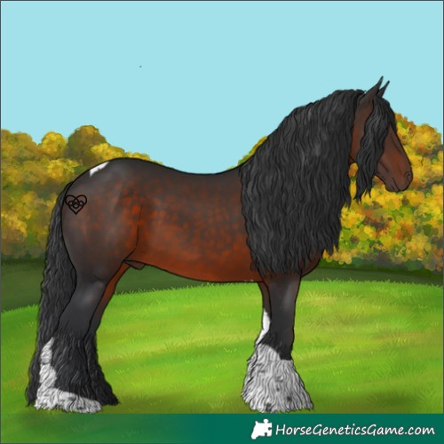 Horse Color:Brown Tobiano 