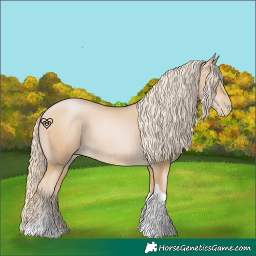 Horse Color:Palomino Pearl Tobiano 