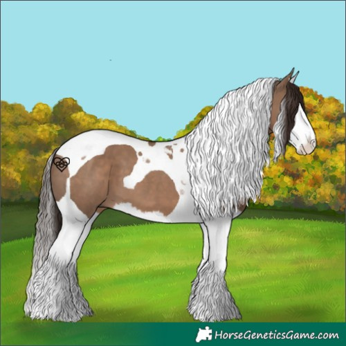 Horse Color:Liver Red Dun Splash Tobiano 