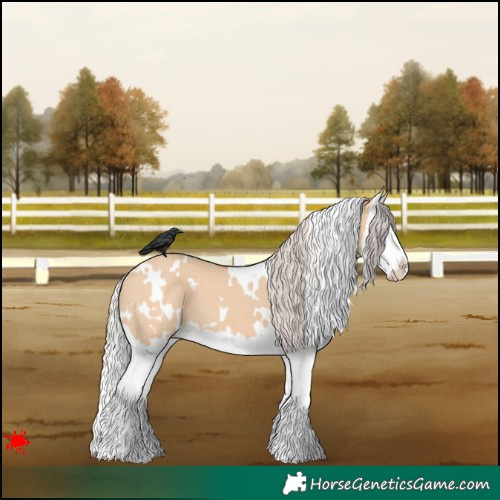 Horse Color:White Spotted Silver Bay Dun Splash 
