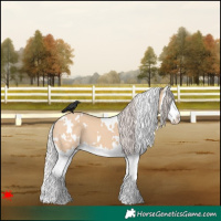 Horse Color:White Spotted Silver Bay Dun Splash 