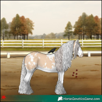 Horse Color:White Spotted Silver Bay Dun Splash 