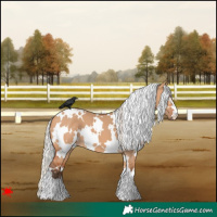 Horse Color:White Spotted Silver Bay Dun 