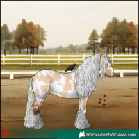 Horse Color:White Spotted Silver Bay Dun 