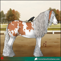 Horse Color:White Spotted Silver Bay Splash 