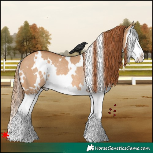Horse Color:White Spotted Red Dun Splash Rabicano 