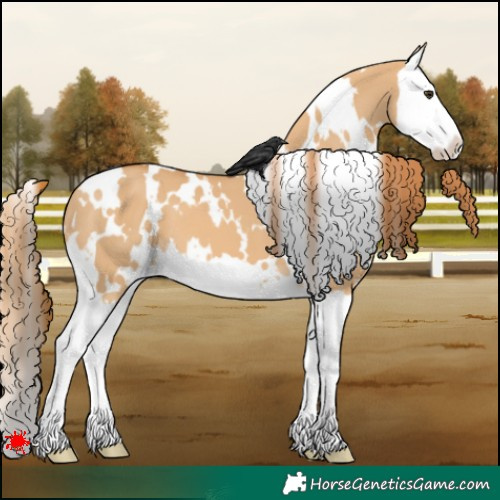 Horse Color:White Spotted Red Dun Splash 